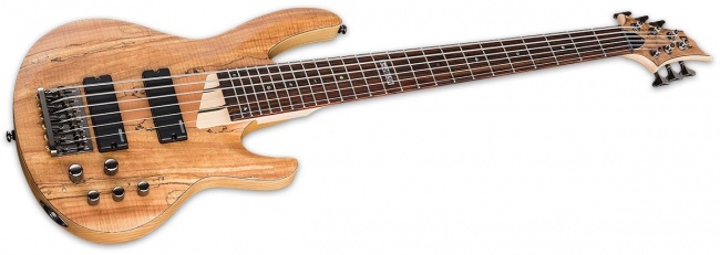 ESP LTD B Series B-205 Five-String Bass Guitar - Natural Satin