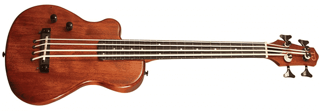 Gold_Tone_4_String_Acoustic-Electric_Bass_Guitar_Right__ME-_ME-BassFL