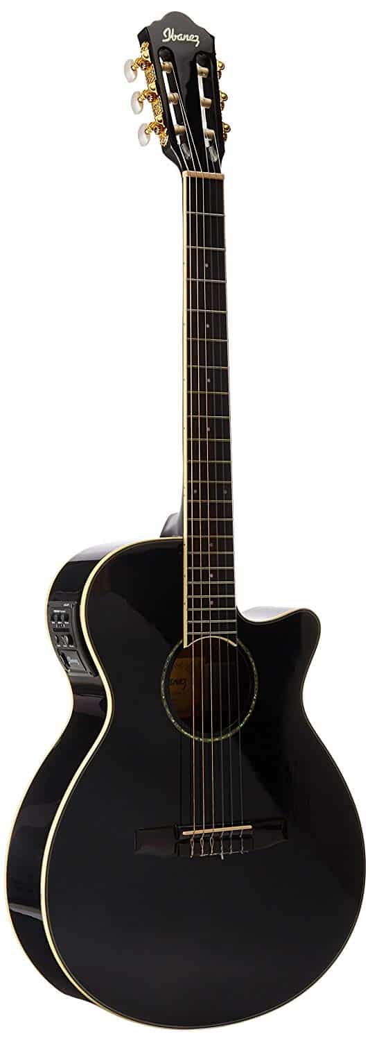 Ibanez AEG10NII Nylon String Cutaway Acoustic-Electric Guitar